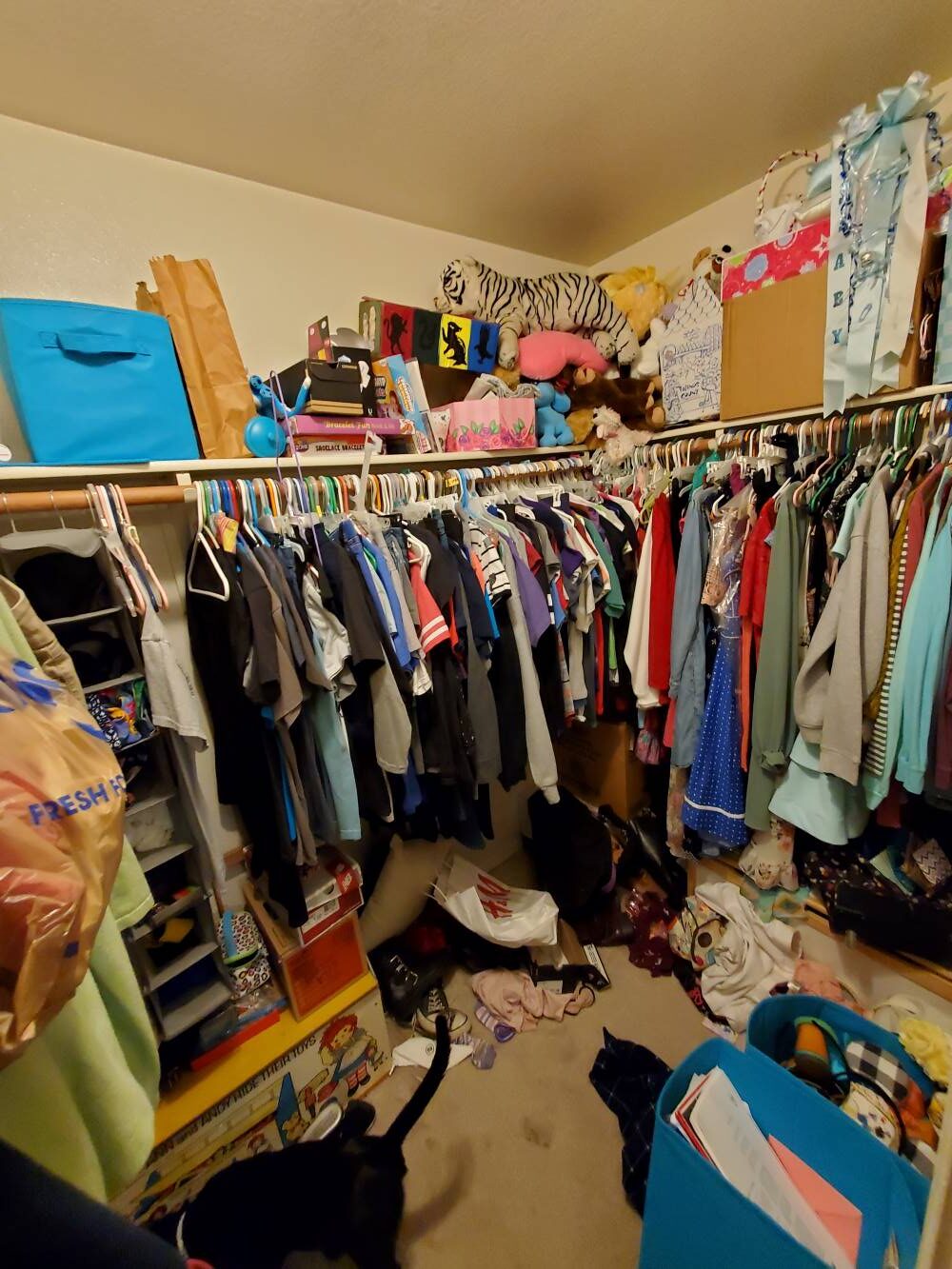 Organized Closet Before